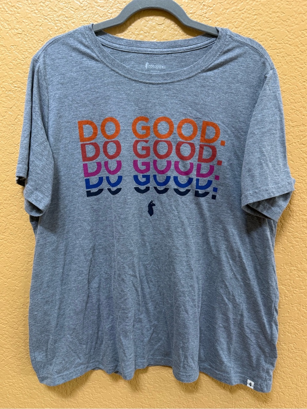 Cotopaxi Organic Cotton - Do Good Grey Graphic Tee - 2X Plus